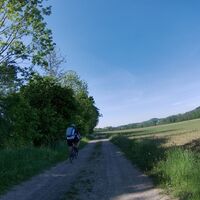 Schattig entlang des Gnasbaches Radeln