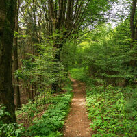 Talsperrenweg Erlebnisweg Sieg
