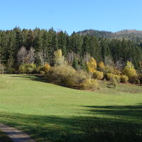 Wiese nahe Gehöft Grubenfranzl