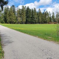 10.7 km In Fünfling rechts auf Wiesenweg
