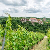 DSGVO NT Neckarwestheim Schloss Liebenstein 1 WEB