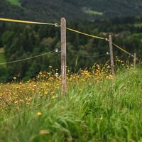 Aussicht