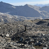 BILD 12