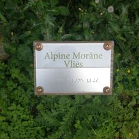 Alpine Moräne Vlies - Station