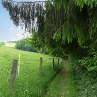 Natursteig Sieg Etappe 9