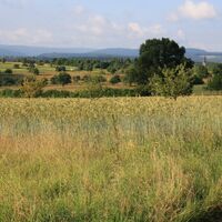 Rund um Spessart