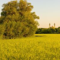 Günztal bei Ottobeuren mit Blick auf die Basilika