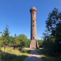 Hohlohturm auf dem Kaltenbronn