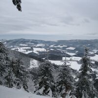 Schneeschuhwanderung auf's Hocheck