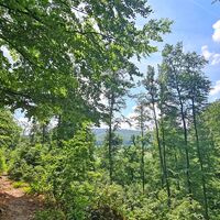 Wandern auf dem Heubergweg