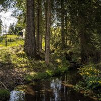 20250428_Leitenrundweg_3768.jpg