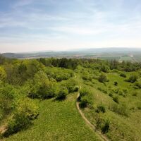 Singletrail vom Waschberg