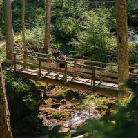 Wörschachklamm Spechtensee  016 © Christoph Lukas (2022-07).jpg