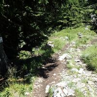 Aufstieg zum Gipfel Traunstein