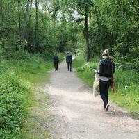 Spaziergang im Wald von Montmorency