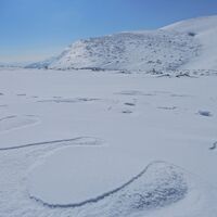Puchberg - Schneebergdörfl - Mieseltal - Waxriegel