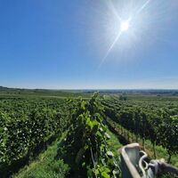 Landschaft