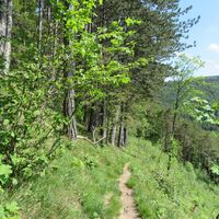 St. Leonhard - Waidhofen - Amstettner Hütte