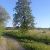 Natur pur im Günztal
