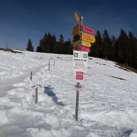 Winterwanderung Selibüel