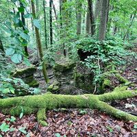 Katzenlöcher bei Kätzerode