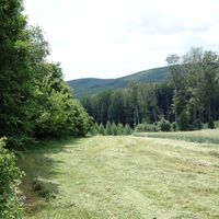 Blick zum Hermannskogel mit Warte