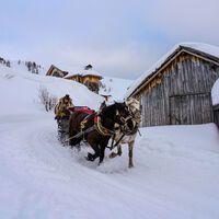 Passo San Pellegrino - Fuciade - ©Archivio APT Val di Fassa