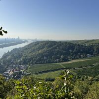 .. und hinab zur Donau und zum Ausgangspunkt