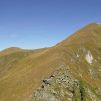 die letzten Meter zum Zinkenkogel