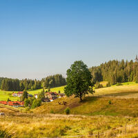 Blick auf Engelschwand