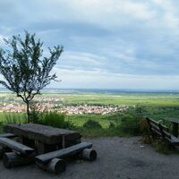 Blick von der Michaelskapelle auf Deidesheim.