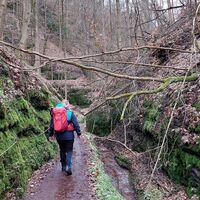 Landgrafenschlucht