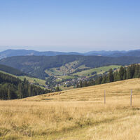Westweg Etappe 10, Todtnau, Stübenwasen