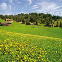 Almengebiet Eilalm Labeggalm Brandenberg