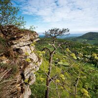 Aussicht von der Wasserflue