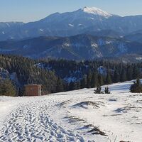 7.5 km Abstieg von der 3. Kuppe bis knapp vor das Jagdhaus Unterberg