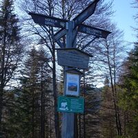 am Waldhüttsattel (Wegekreuzung)