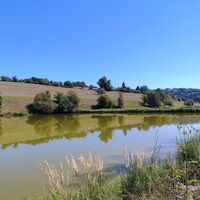 Fischweiher an der Ilz mit Rückblick auf Hofbauerngut
