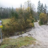 wir verlassen die Strasse und gehen Richtung Eisenerzer Höhe