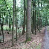 Eindrücke durch den Klötzer Forst auf der Wildschweinroute