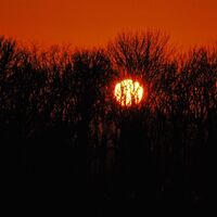 Von der Burg Kreuzenstein zum Michelberg