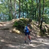 Vaj-Wald