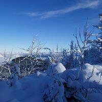 Schneeschuhtrail-Panoramawegtrail