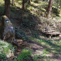 Fitnessrunde Mutlangen 3