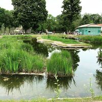 Feuchtgebiet - Fasanerie