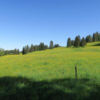 Wiesenlandschaften am Bernauer Panoramaweg