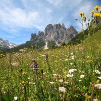 Vigo - Ciampedie ©Archivio APT Val di Fassa