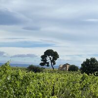 Wanderung zwischen Weinbergen und Garrigues 1 @ Mairie de Bassan