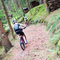 110 Gutau Runde