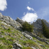 anfangs fast weglos und wild zum Grat empor